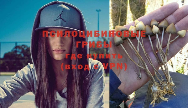 ПСИЛОЦИБИНОВЫЕ ГРИБЫ Алексеевка