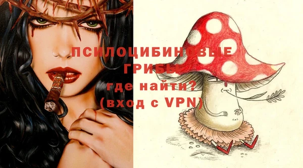 МДПВ Алексин