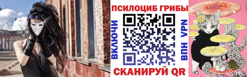 Псилоцибиновые грибы Psilocybe  Гурьевск 